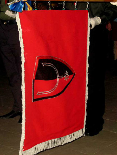 Посвячення прапора старшопластунського куреня ОЗО 17 листопада 2008 р.
